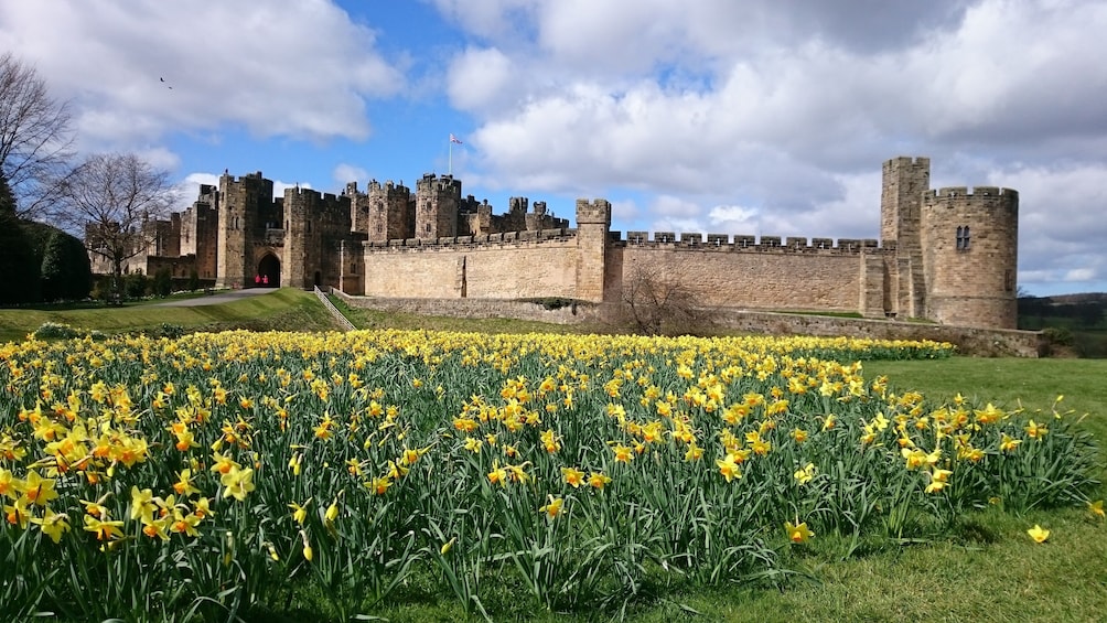 The Borders Experience: Melrose & Alnwick Full-Day Tour