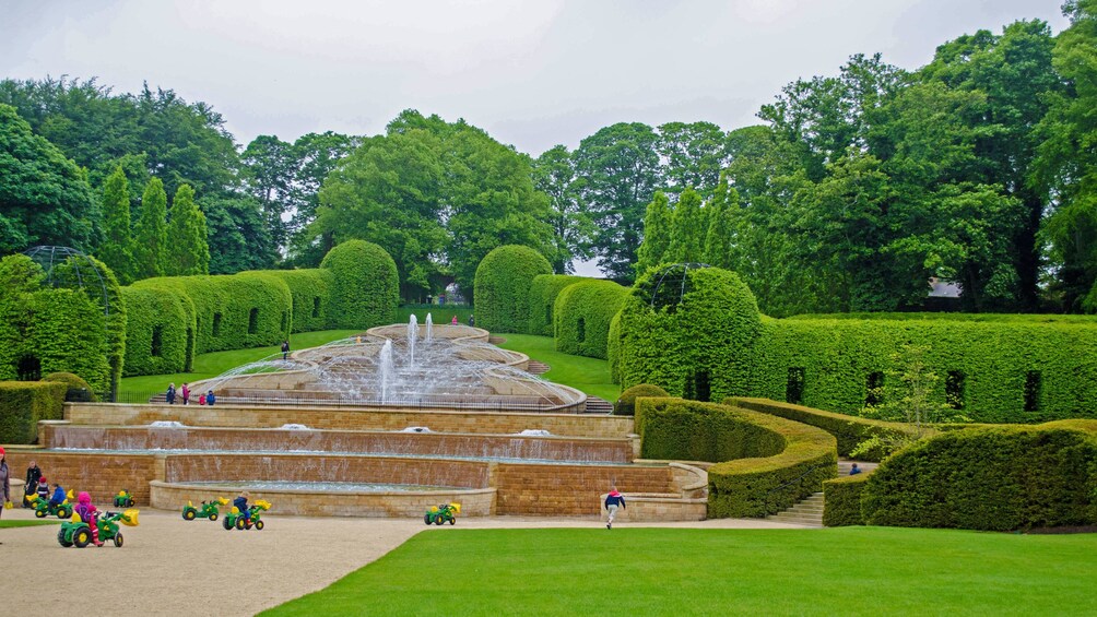 Show item 2 of 5. Gardens in Edinburgh