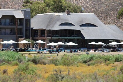 Aquila Game Drive og Safari