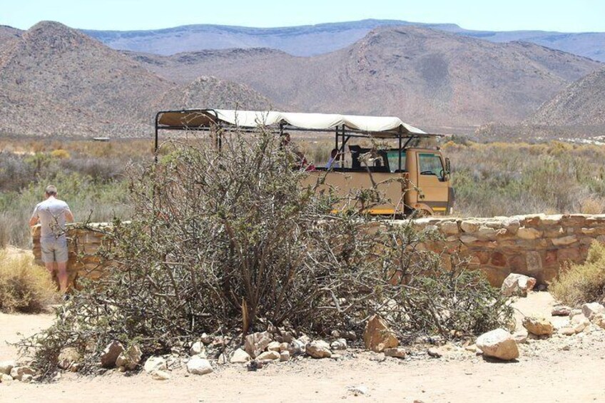Aquila Game Drive and Safari