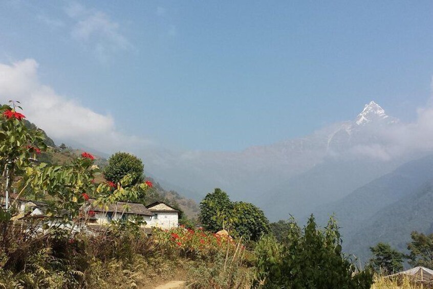 Mt Fishtail on the background