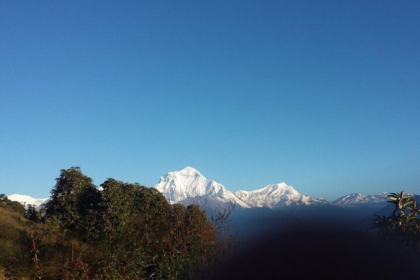 Ghorepani Poonhill Mountain Villages Trekking from Pokhara