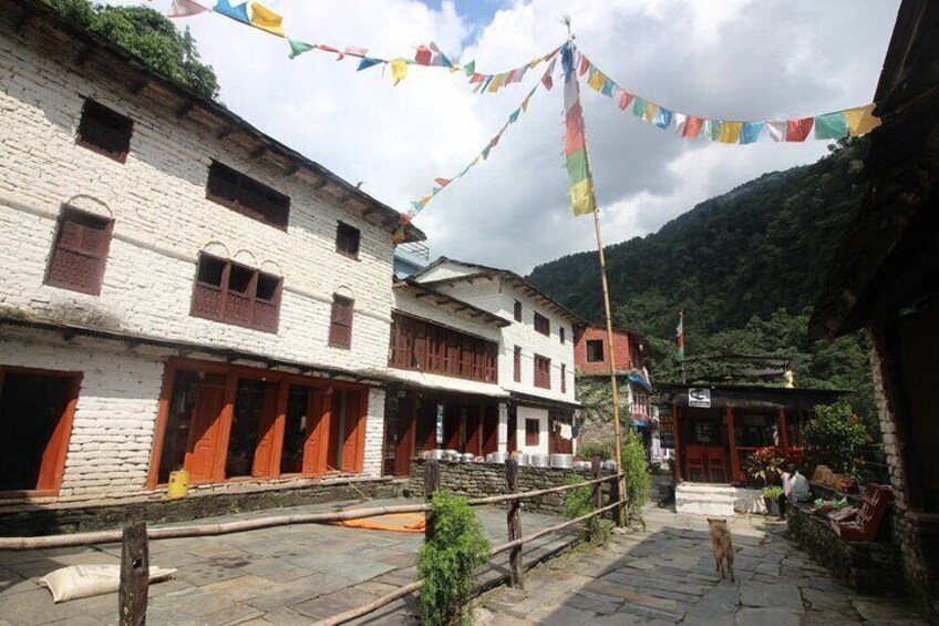 Ghorepani Poonhill Mountain Villages Trekking from Pokhara