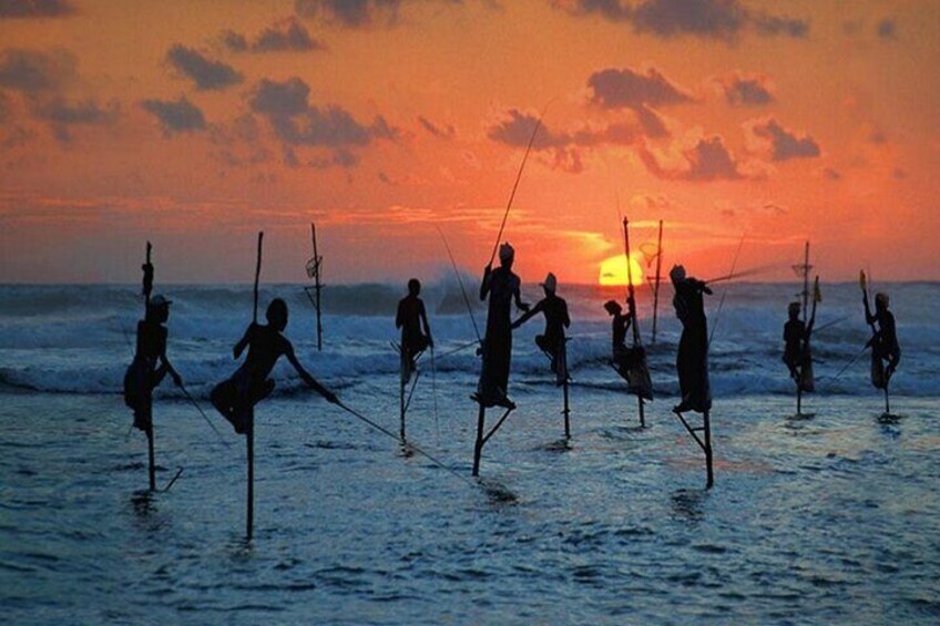 Day Tour from Colombo to Yala National Park Safari
