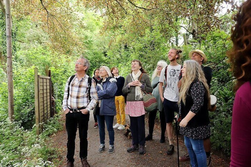 Group tree walk - Learning about the trees