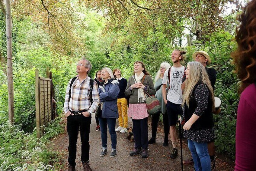 Group tree walk - Learning about the trees