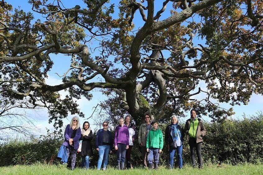 Group walk to visit the trees