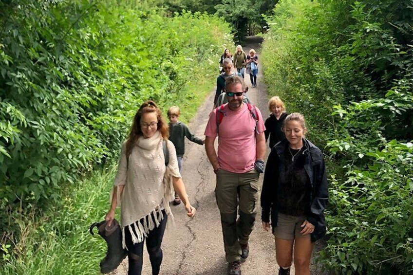 Small group walks, for families, locals and visitors to Glastonbury.