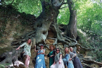 A Tour of Glastonbury, Guided by the Trees.