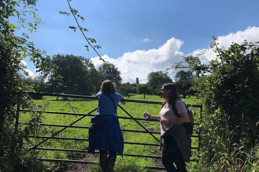 A private tree walk for two friends exploring Glastonbury's sites and beautiful mature trees. 