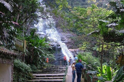 Jeep Tour to Tijuca Forest and Hike to Pedra Bonita