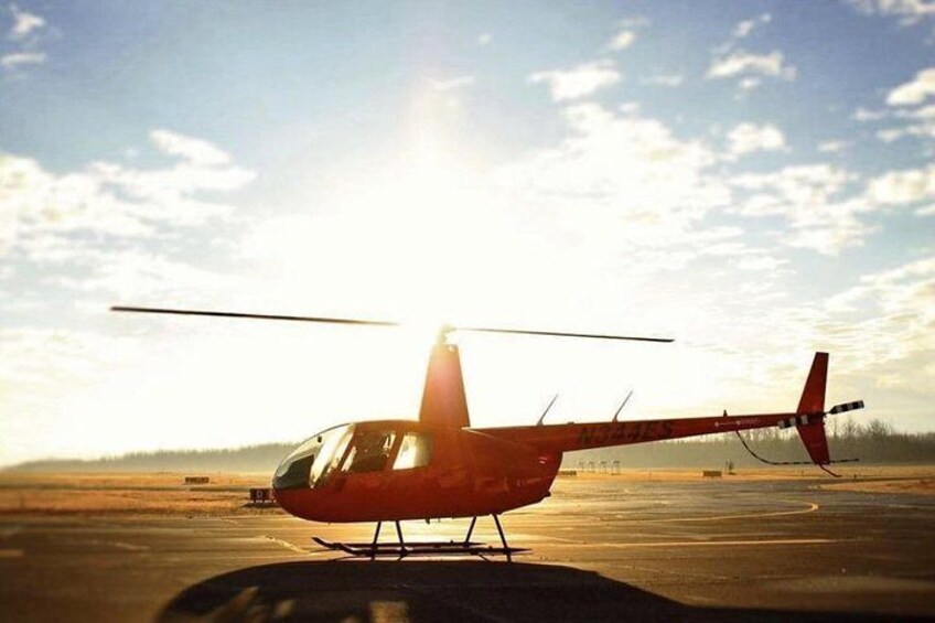 New Orleans City and Swamp Helicopter Tour