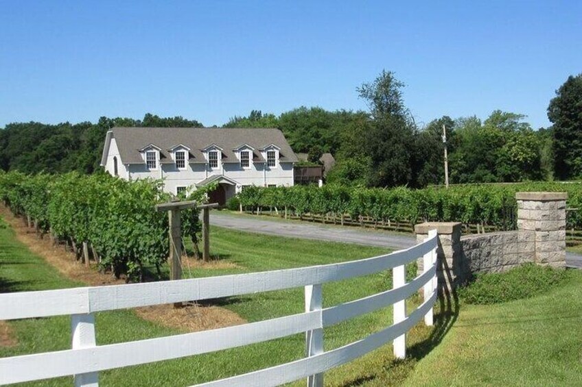 Virginia Winery Day Tour