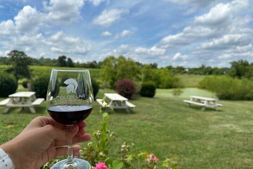 A deep red wine that connects you to nature