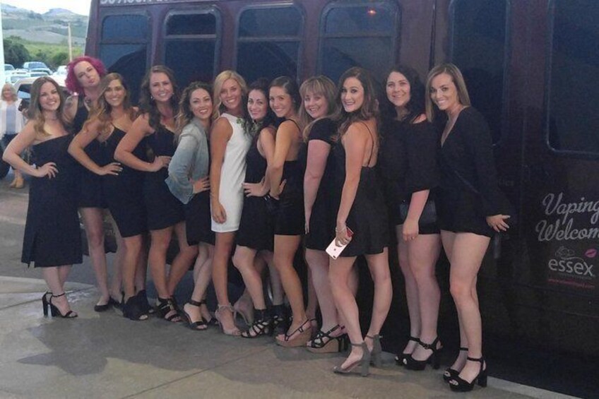 Show item 1 of 1. Wedding Party, Bachelor/ette