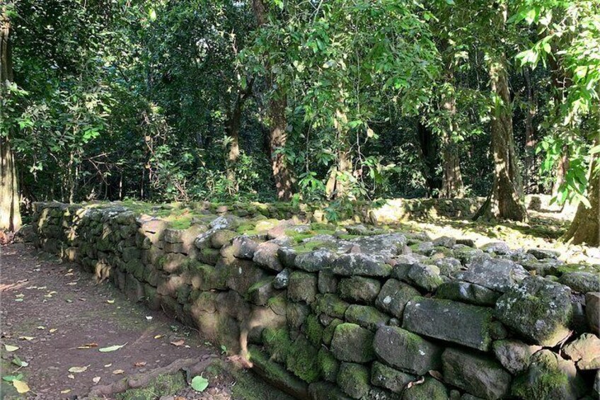 Tahitian Temple "Marae"