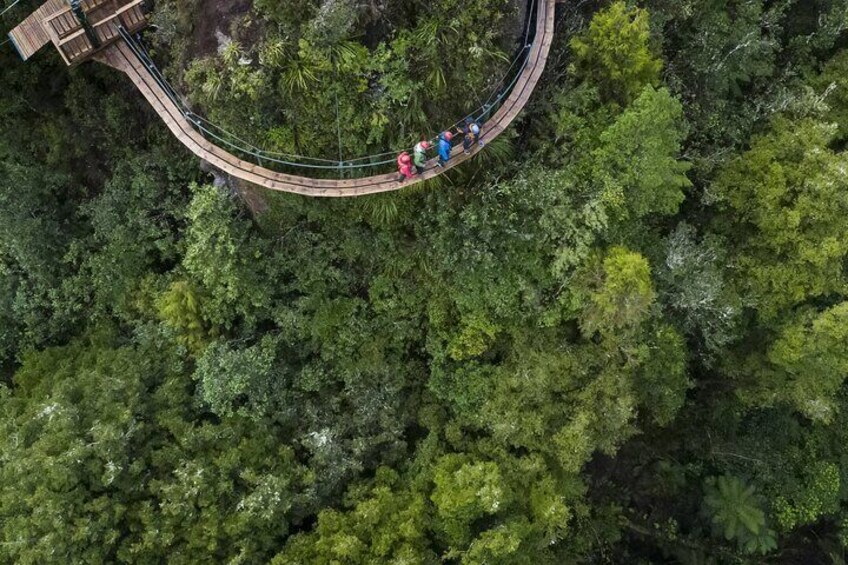 The Ultimate Canopy Zipline Experience Private Tour From Auckland