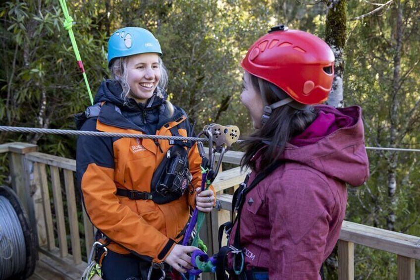 The Ultimate Canopy Zipline Experience Private Tour From Auckland