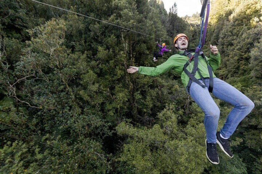 The Ultimate Canopy Zipline Experience Private Tour From Auckland