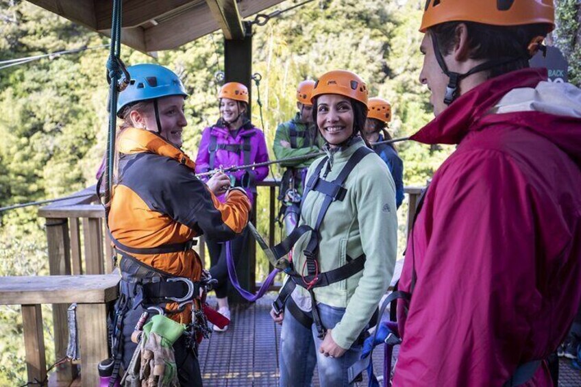 The Ultimate Canopy Zipline Experience Private Tour From Auckland