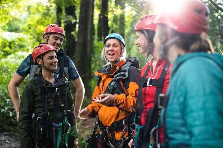 The Ultimate Canopy Experience