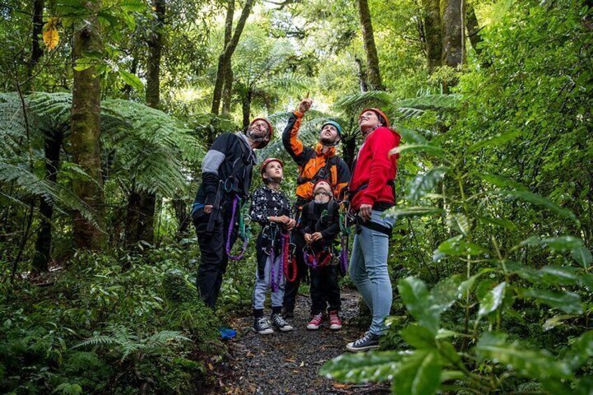 The Ultimate Canopy Experience