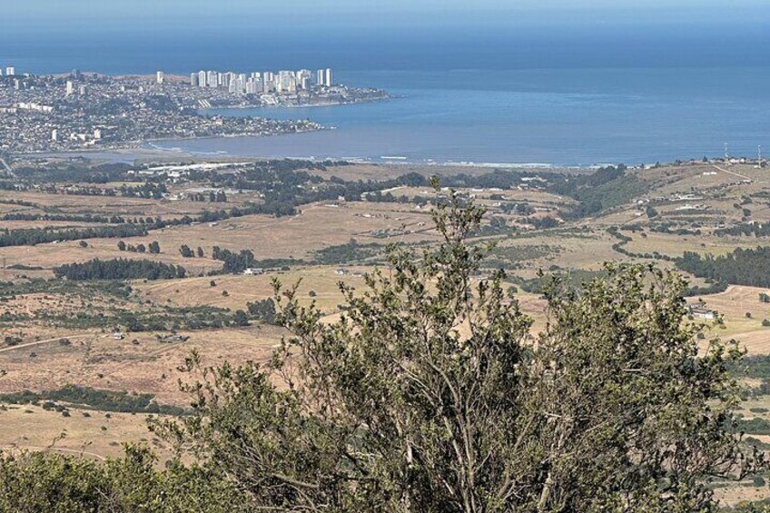 Hiking El Mauco