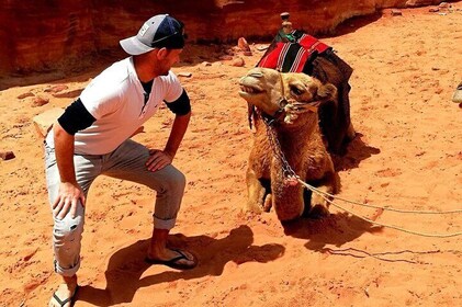 Wadi Rum 1 Day tour from Amman or Dead Sea