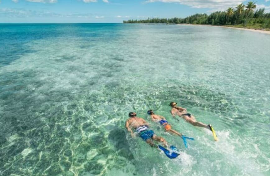 Spilt Cruise to Bimini & Free Transportation