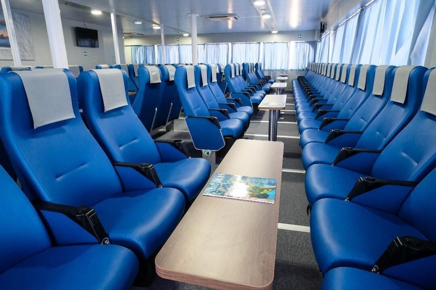 Split Cruise To Bimini Bahamas & Free Transportation!