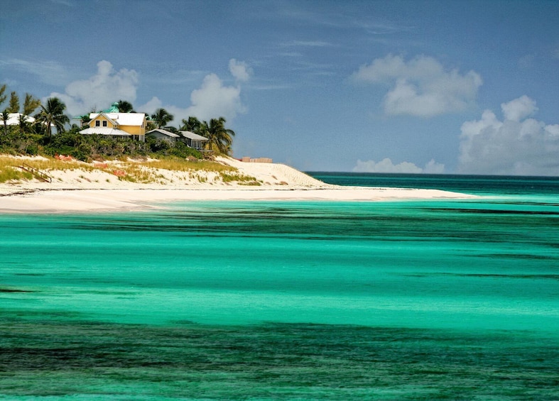 Split Cruise To Bimini Bahamas & Free Transportation!