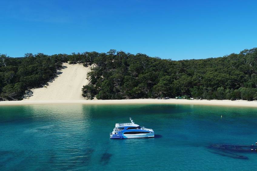 Show item 2 of 7. From Gold Coast Dolphin Watch & Tangalooma Wreck Snorkeling