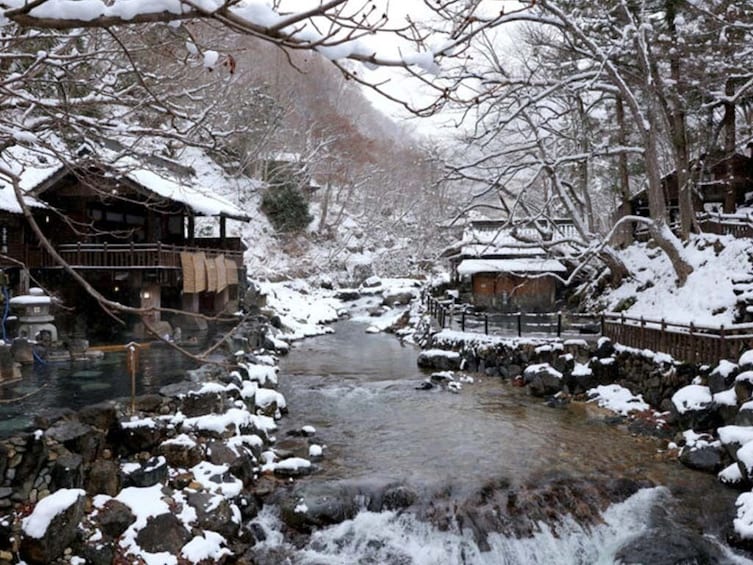 Show item 2 of 2. The Beauty of Minakami Onsen
