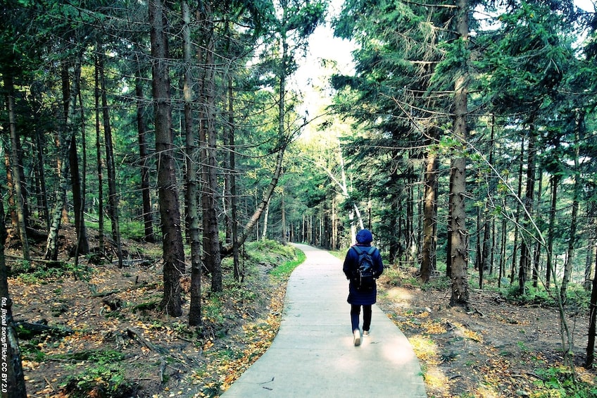 Trekking in Stolowe Mountains - private tour 8 h