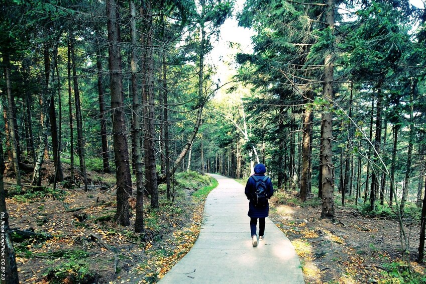 Trekking in Stolowe Mountains - private tour 8 h