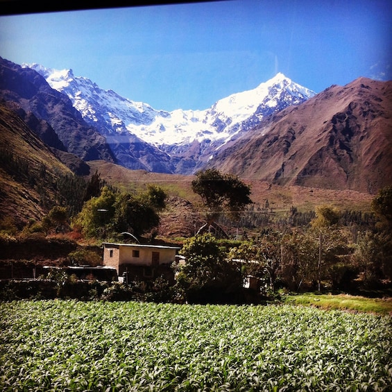 Tour to Machu Picchu from Cusco