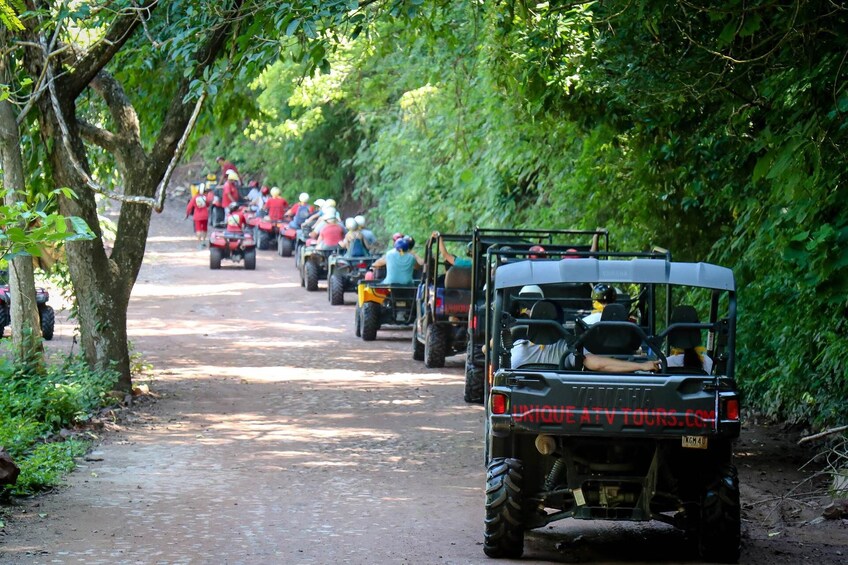 ATV At Puerto Vallarta 