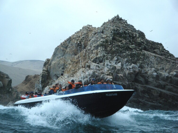 Palomino Islands Sea Lion Swimming Tour from Lima