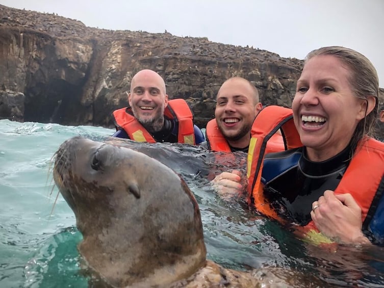 Palomino Islands Sea Lion Swimming Tour from Lima