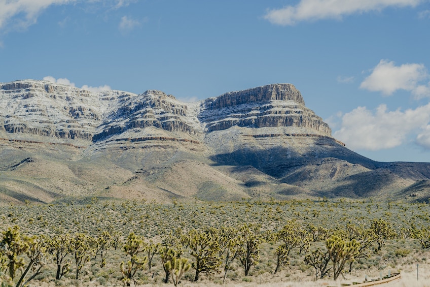 Fields in the Grand Canyon