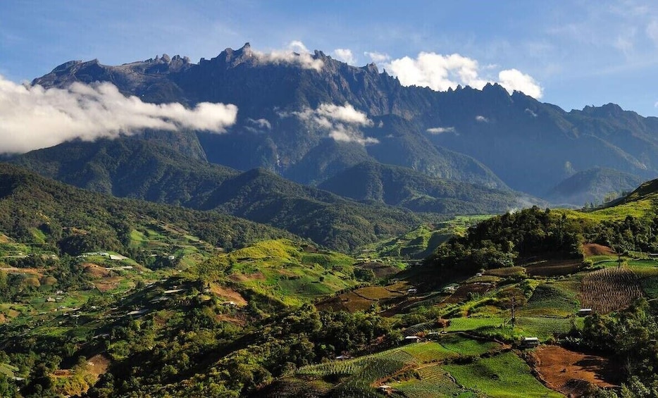 Kinabalu Park & Poring Hot Spring