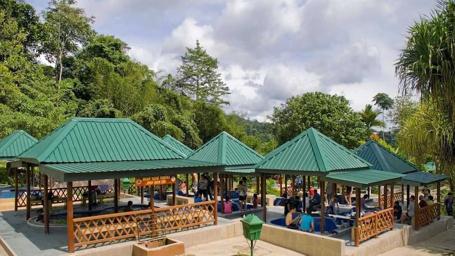 Kinabalu Park & Poring Hot Spring