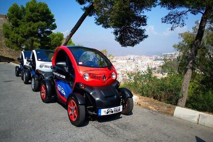 Premium Private Tour Malaga by Electric Car for you,your partner or your fa...