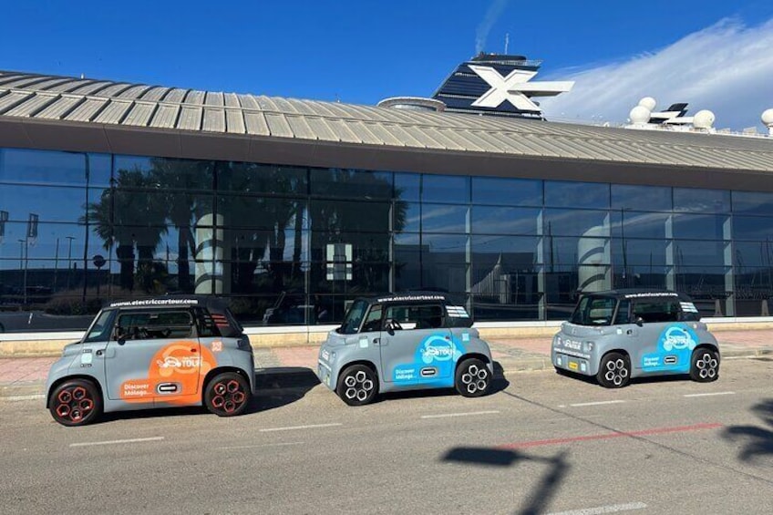 Málaga Privilege Tour: Exclusive Electric Car Experience