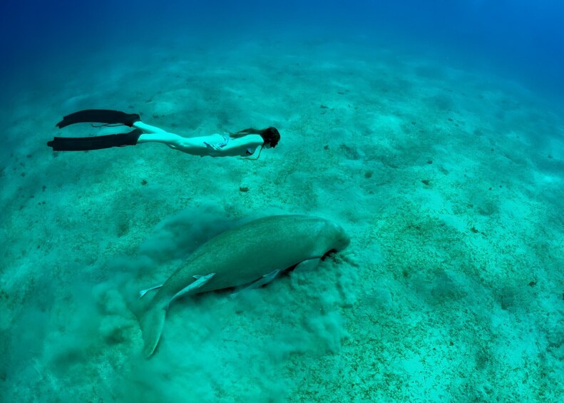 Mantanani Islands Scuba Diving Experience with River Cruise