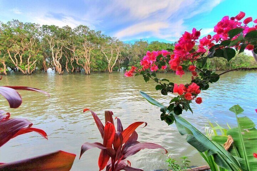 Tonle Sap, Floating village, Kompong Phluk Tour