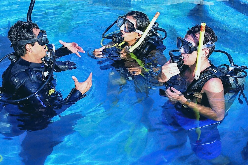 Scuba Diving for Certified Divers