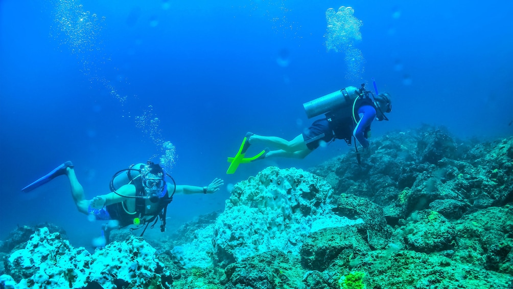 Scuba diving men swimming past coral reef in Puerto Vallarta.