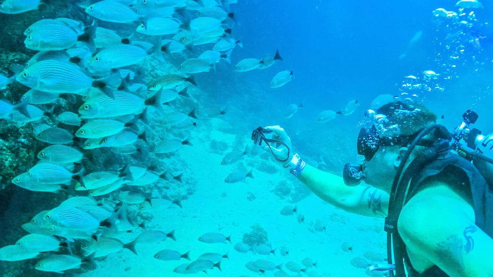 Scuba diving man taking a photo of a school of fish in Puerto Vallarta.
