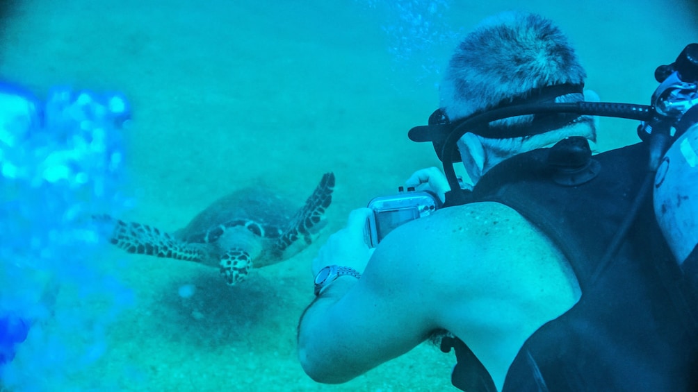 Scuba diving man taking a photo of a sea turtle in Puerto Vallarta.